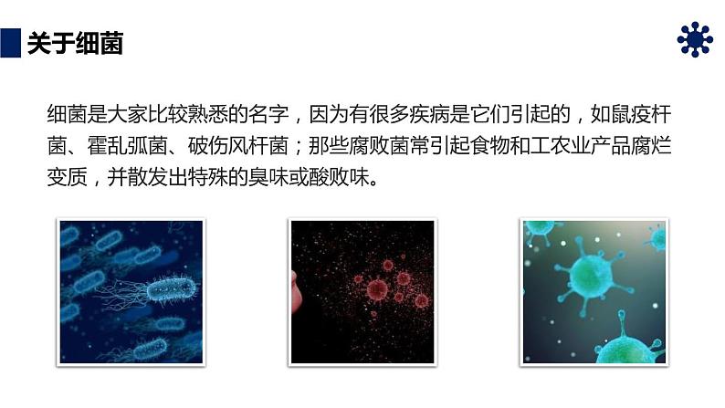 人教版生物八年级上册第四单元 细菌和真菌 4.2 细菌 教学备课PPT课件03