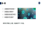 人教版生物八年级上册第四单元 细菌和真菌 4.2 细菌 教学备课PPT课件