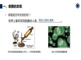 人教版生物八年级上册第四单元 细菌和真菌 4.2 细菌 教学备课PPT课件