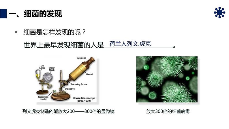 人教版生物八年级上册第四单元 细菌和真菌 4.2 细菌 教学备课PPT课件05