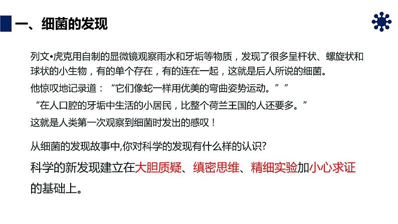人教版生物八年级上册第四单元 细菌和真菌 4.2 细菌 教学备课PPT课件06