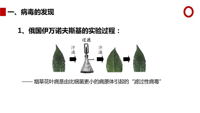 人教版生物八年级上册第五单元 病毒 教学备课PPT课件03