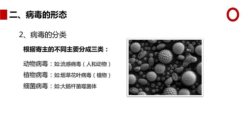 人教版生物八年级上册第五单元 病毒 教学备课PPT课件06