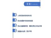 人教版生物八年级下册第二单元生物的遗传和变异  2.4 人的性别遗传  同步PPT课件
