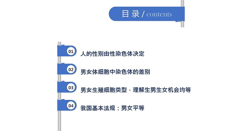 人教版生物八年级下册第二单元生物的遗传和变异  2.4 人的性别遗传  同步PPT课件02