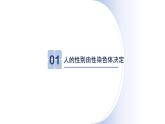 人教版生物八年级下册第二单元生物的遗传和变异  2.4 人的性别遗传  同步PPT课件