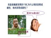 人教版生物八年级下册第二单元生物的遗传和变异  2.4 人的性别遗传  同步PPT课件