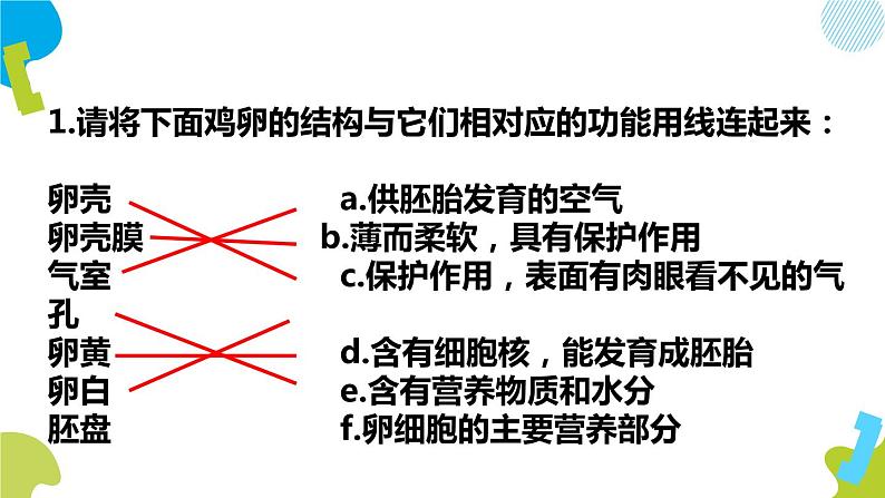 人教版生物八年级下册第一单元生物的生殖和发育 1.4 鸟的生殖和发育  同步PPT课件08