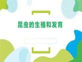 人教版生物八年级下册第一单元生物的生殖和发育 1.2 昆虫的生殖和发育 同步PPT课件