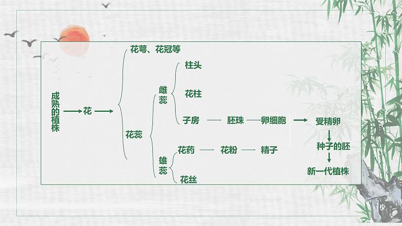 人教版生物八年级下册第一单元生物的生殖和发育 1.1 植物的生殖 同步PPT课件04