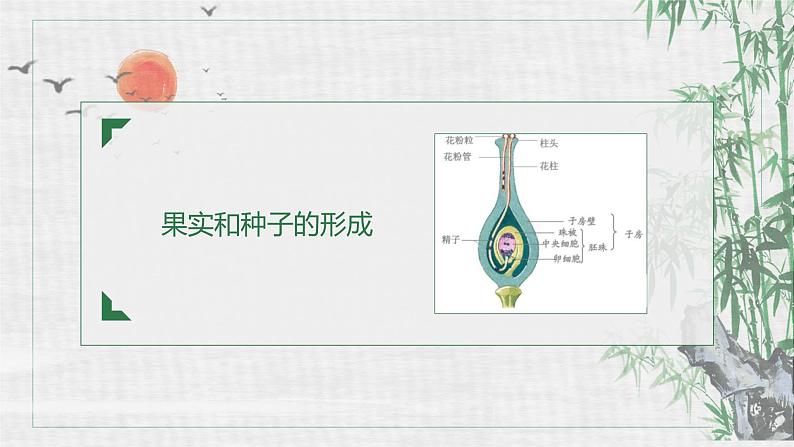 人教版生物八年级下册第一单元生物的生殖和发育 1.1 植物的生殖 同步PPT课件05