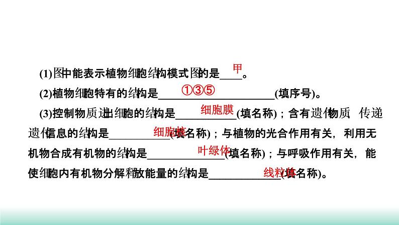 2022年福建中考生物二轮复习题型突破专训专题一　识图题课件第3页