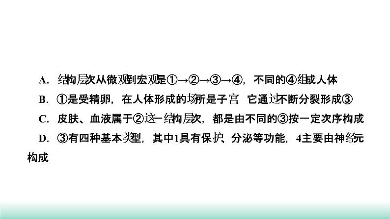 2022年福建中考生物二轮复习题型突破专训专题一　识图题课件第7页