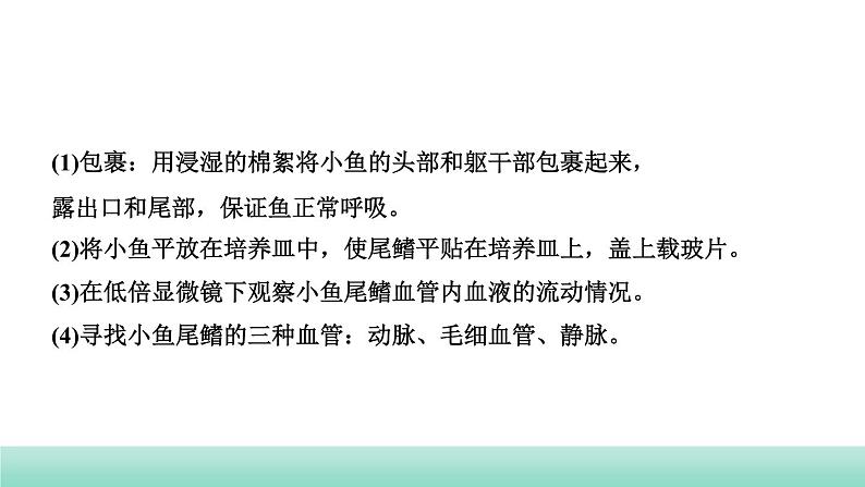 2022年福建中考生物二轮复习题型突破专训专题二　实验探究题（三）课件第3页