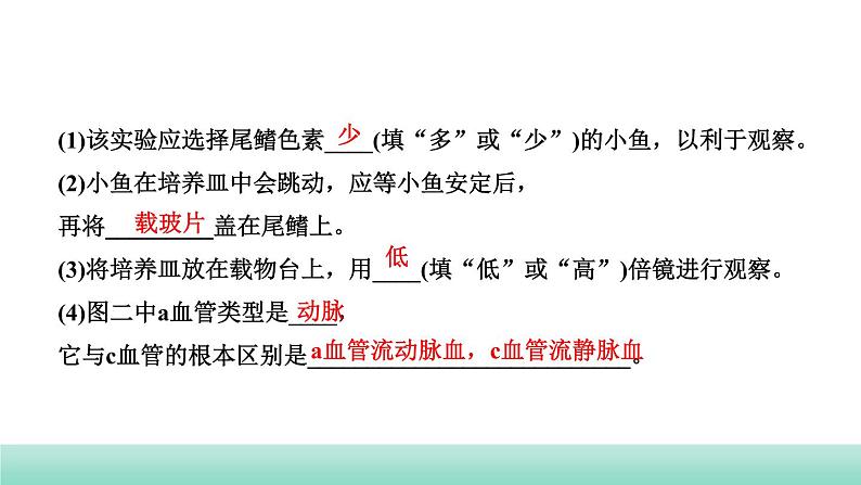 2022年福建中考生物二轮复习题型突破专训专题二　实验探究题（三）课件第6页