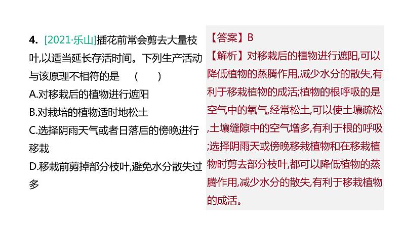 2022年江苏中考生物二轮复习课件：专题提升01　植物的生理活动第6页