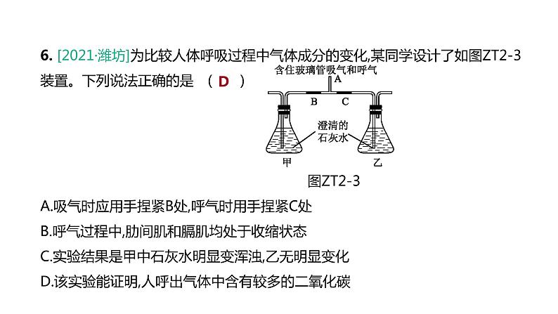 2022年江苏中考生物二轮复习课件：专题提升02　人体的生理活动第7页