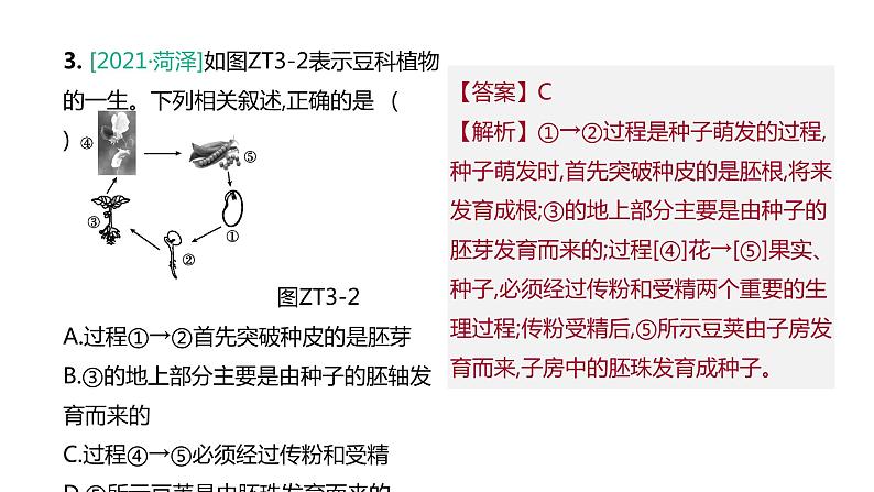 2022年江苏中考生物二轮复习课件：专题提升03生物的生殖、发育与遗传、变异04