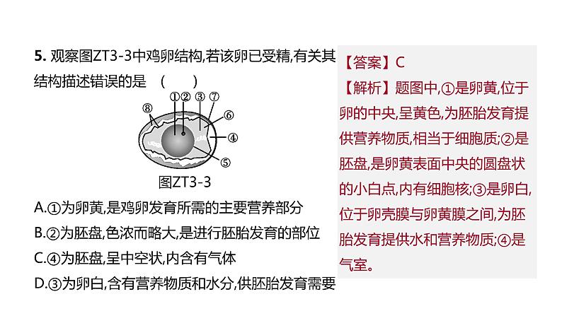 2022年江苏中考生物二轮复习课件：专题提升03生物的生殖、发育与遗传、变异06