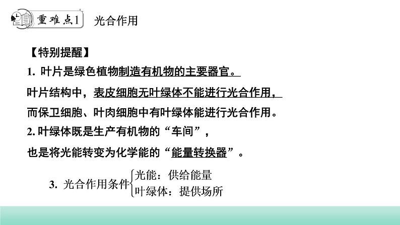 2022年中考生物二轮复习考点讲练主题四生物圈中的绿色植物第4讲绿色植物对生物圈有重大作用课件（福建专用）03