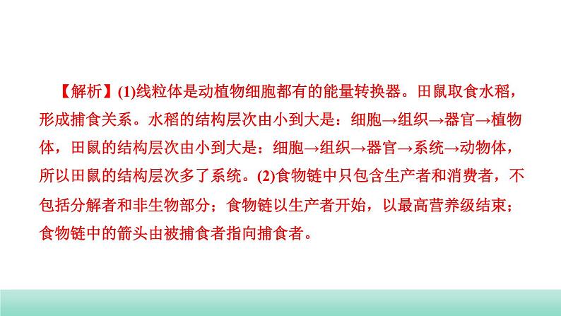 2022年中考生物二轮复习考点讲练主题三生物与环境课件（福建专用）08