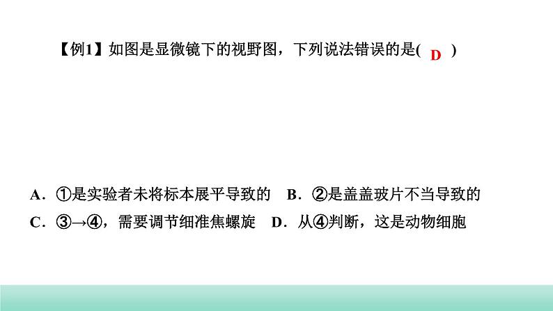 2022年中考生物二轮复习考点讲练主题二生物体的结构层次课件（福建专用）第4页