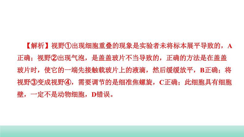 2022年中考生物二轮复习考点讲练主题二生物体的结构层次课件（福建专用）第5页
