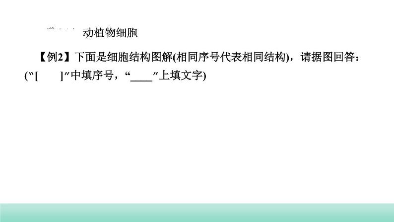 2022年中考生物二轮复习考点讲练主题二生物体的结构层次课件（福建专用）第6页