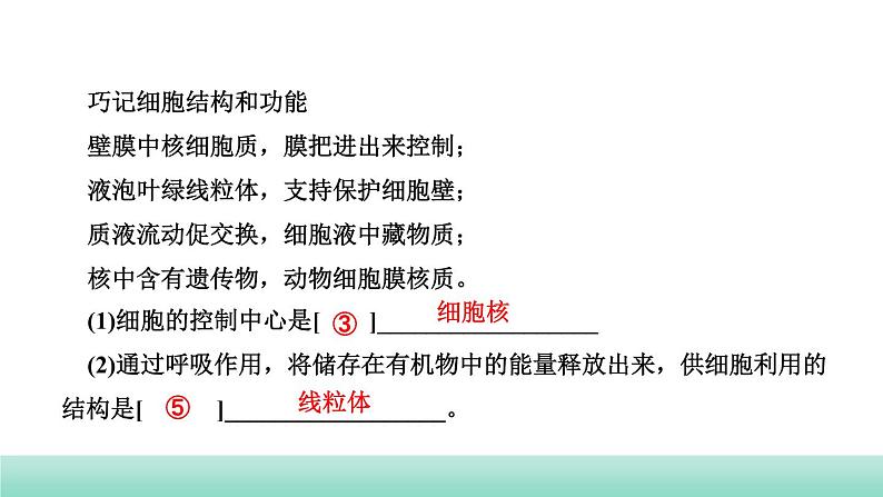 2022年中考生物二轮复习考点讲练主题二生物体的结构层次课件（福建专用）第7页