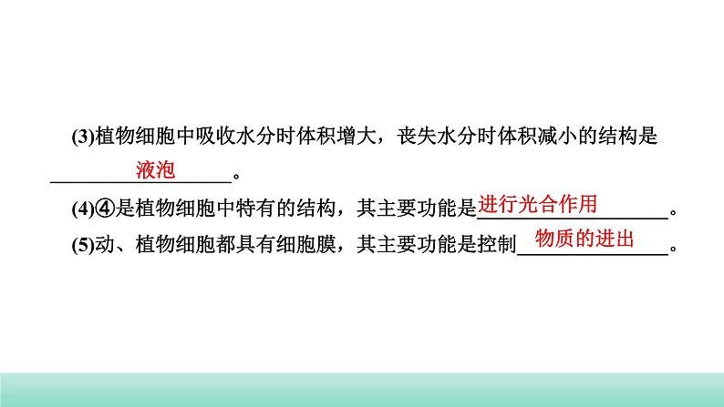 2022年中考生物二轮复习考点讲练主题二生物体的结构层次课件（福建专用）第8页