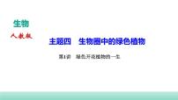 2022年中考生物二轮复习考点讲练主题四生物圈中的绿色植物第1讲绿色开花植物的一生课件（福建专用）