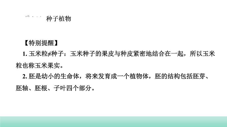 2022年中考生物二轮复习考点讲练主题四生物圈中的绿色植物第1讲绿色开花植物的一生课件（福建专用）第3页