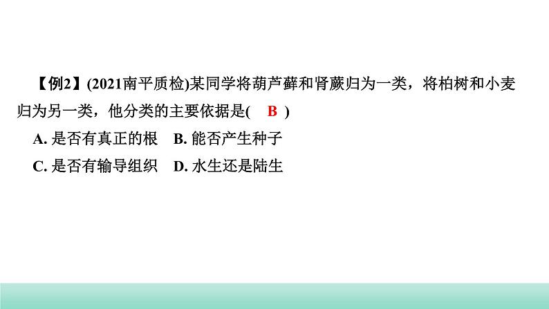 2022年中考生物二轮复习考点讲练主题八生物的多样性课件（福建专用）05