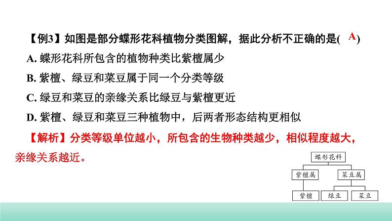 2022年中考生物二轮复习考点讲练主题八生物的多样性课件（福建专用）06