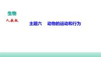 2022年中考生物二轮复习考点讲练主题六动物的运动和行为课件（福建专用）