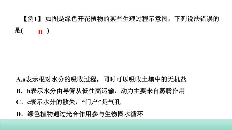 2022年中考生物二轮复习考点讲练主题四生物圈中的绿色植物第2讲绿色植物的生活需要水和无机盐课件（福建专用）05