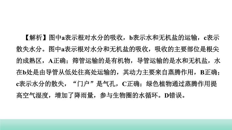 2022年中考生物二轮复习考点讲练主题四生物圈中的绿色植物第2讲绿色植物的生活需要水和无机盐课件（福建专用）06