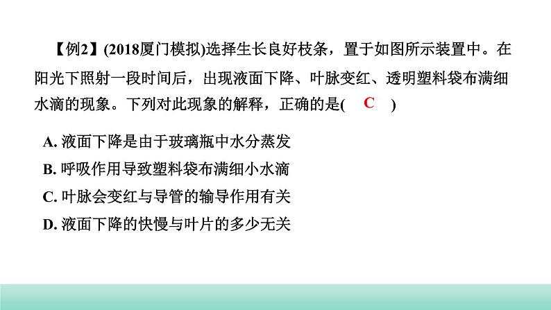 2022年中考生物二轮复习考点讲练主题四生物圈中的绿色植物第2讲绿色植物的生活需要水和无机盐课件（福建专用）08