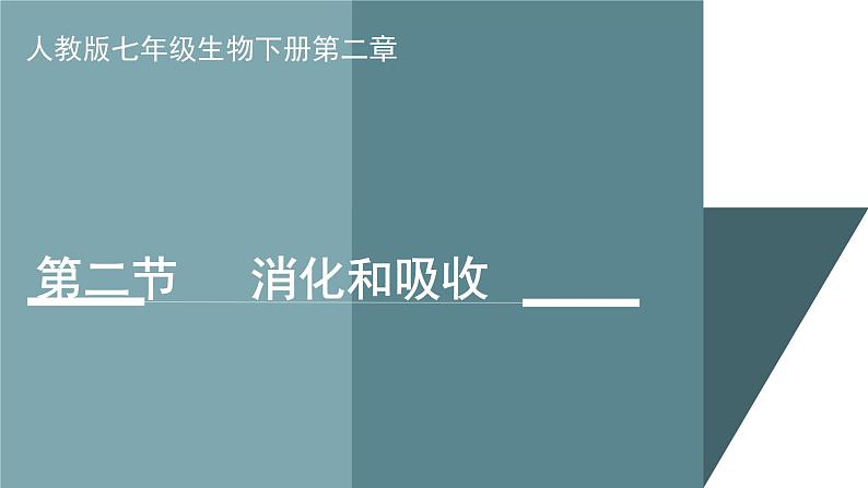 第四单元 第二章 第二节  消化和吸收 -2021-2022学年人教版生物七年级下册课件第2页