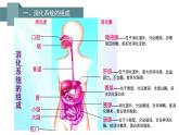 第四单元 第二章 第二节  消化和吸收 -2021-2022学年人教版生物七年级下册课件