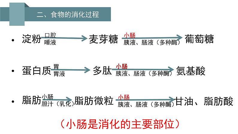 第四单元 第二章 第二节  消化和吸收 -2021-2022学年人教版生物七年级下册课件第4页