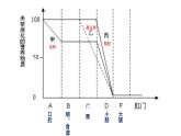 第四单元 第二章 第二节  消化和吸收 -2021-2022学年人教版生物七年级下册课件