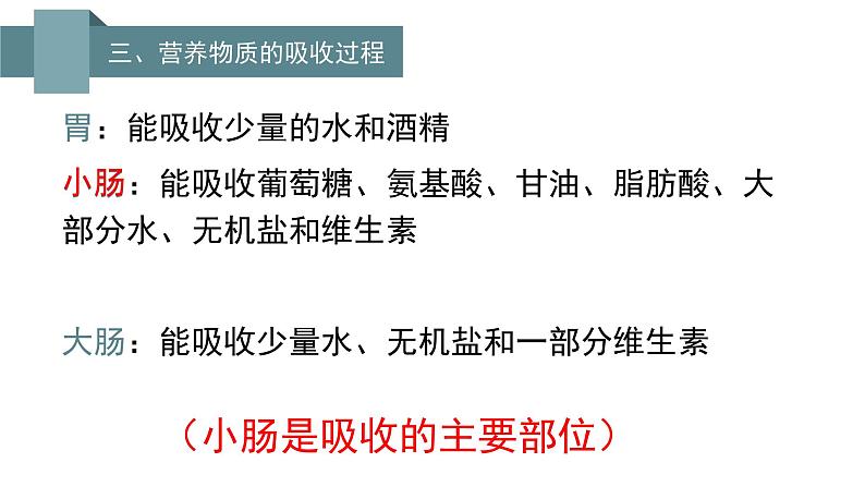 第四单元 第二章 第二节  消化和吸收 -2021-2022学年人教版生物七年级下册课件第8页