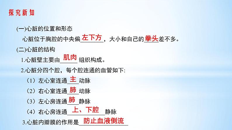 4.4.3输送血液的泵——心脏课件（29张PPT）04