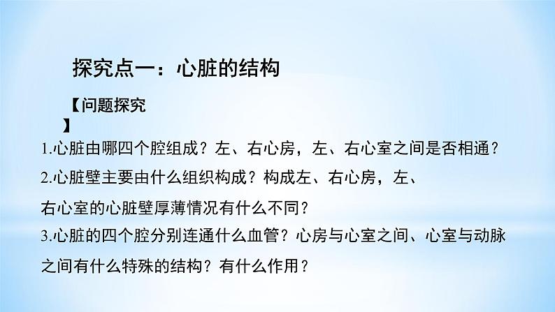 4.4.3输送血液的泵——心脏课件（29张PPT）06