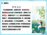 人教新版生物七年級上冊《調(diào)查周邊環(huán)境中的生物》課件+教案+練習(xí)