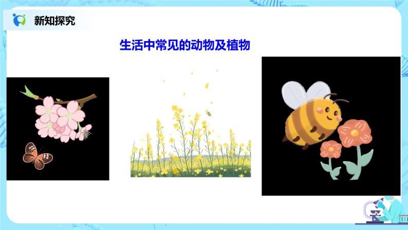 人教新版生物七年级上册《调查周边环境中的生物》课件+教案+练习05