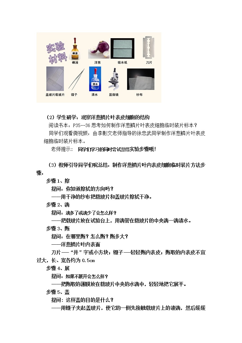 苏教版七年级生物上册 第三章 第一节植物细胞的结构和功能(7)（教案）第3页