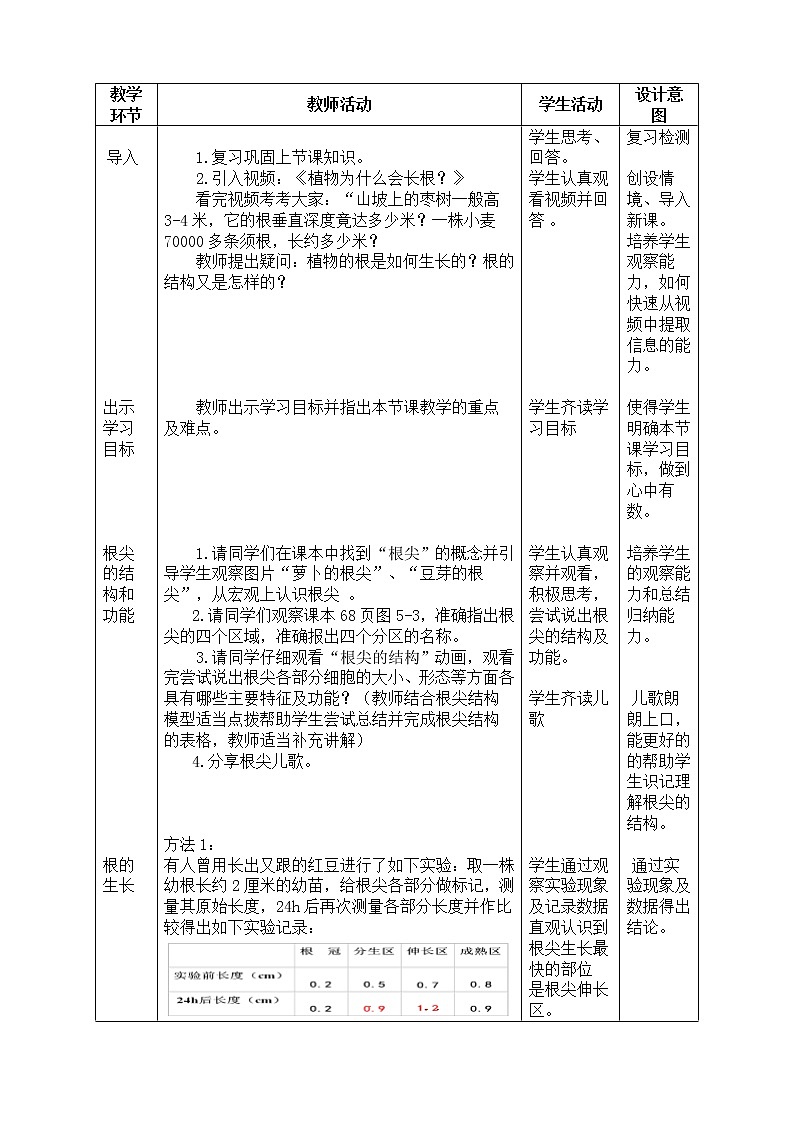 苏教版七年级生物上册 第五章 第二节  植物根的生长（教案）02