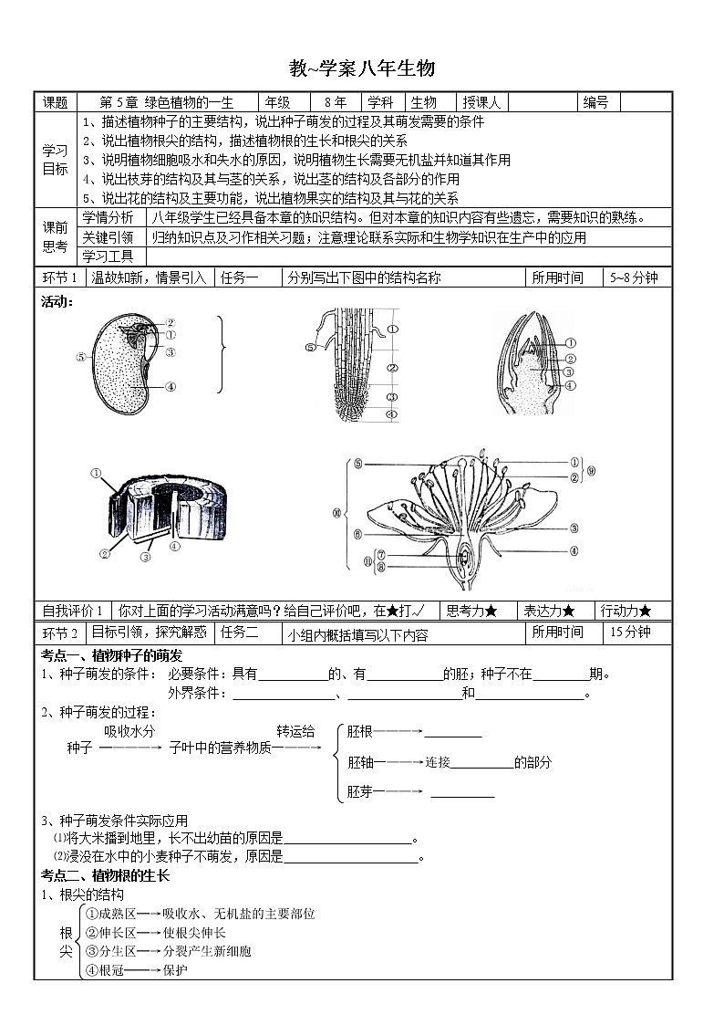 苏教版七年级生物上册 第五章 第四节  植物茎的输导功能(4)（教案）01
